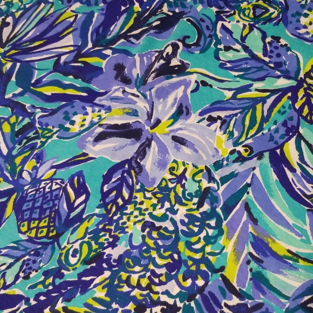 🌴 Lilly Pulitzer XS Hollee Dress in Sneak a Beak - Picture 5 of 6